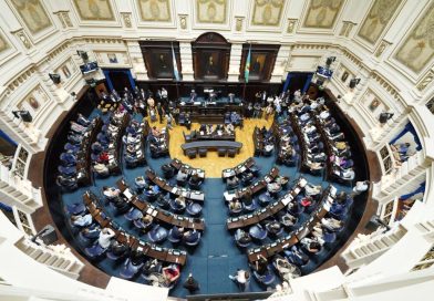 Senado: Audiencia pública