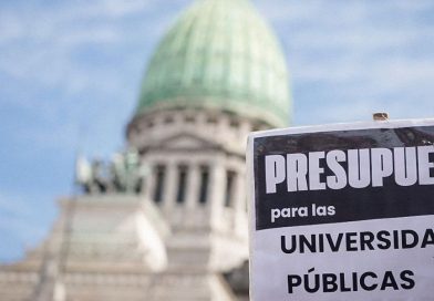 Contra la universidad