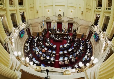 Ley de Salud Mental, en el Senado